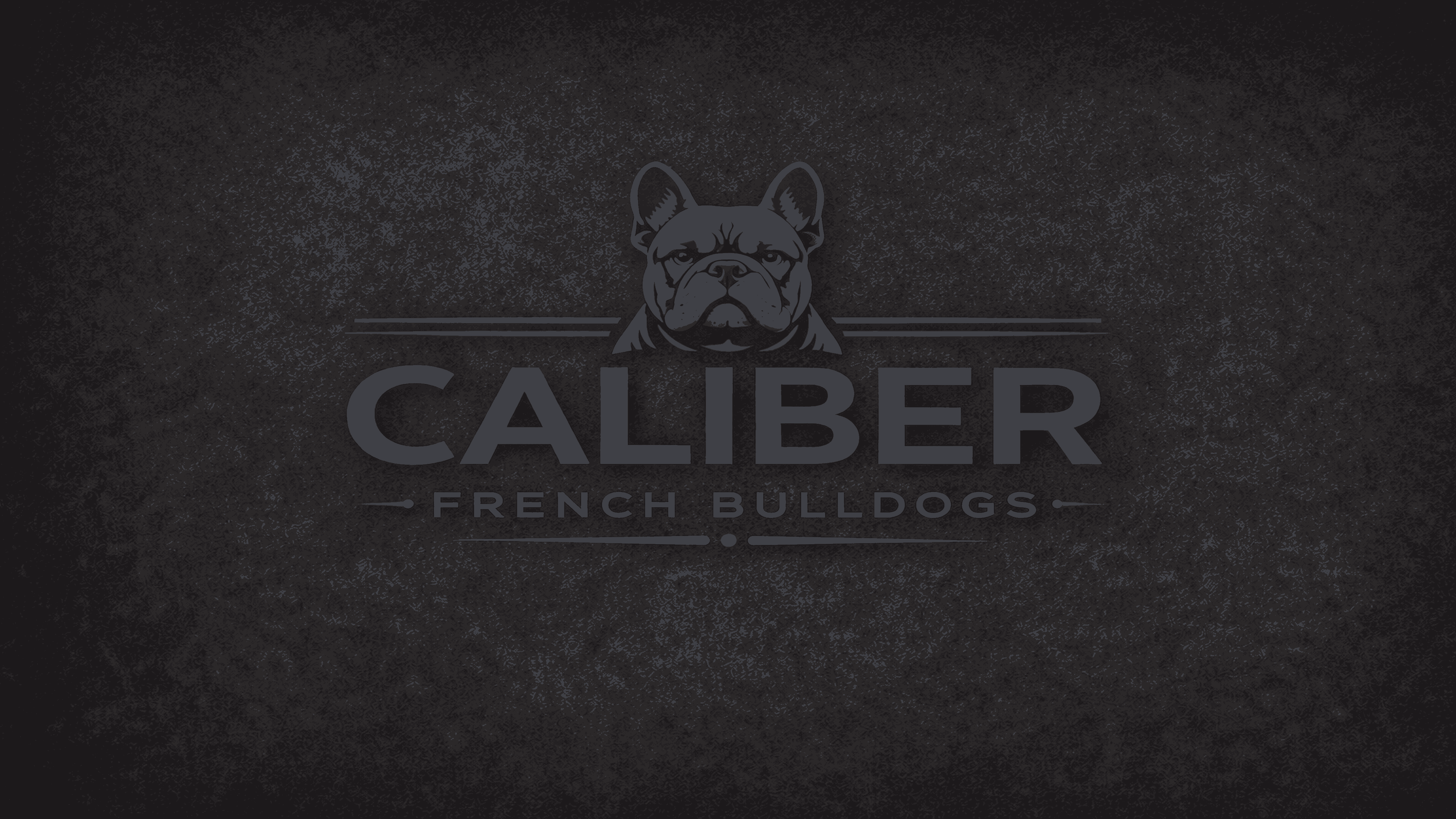 Caliber French Bulldogs logo